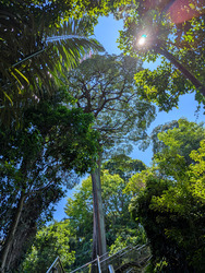 Mount Faber Lodge (D4), Condominium #448936661